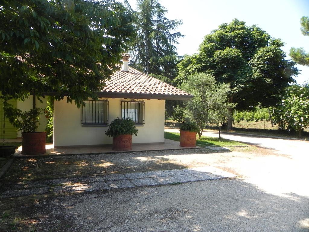 Caterina Residence ฟาเอนซา ภายนอก รูปภาพ