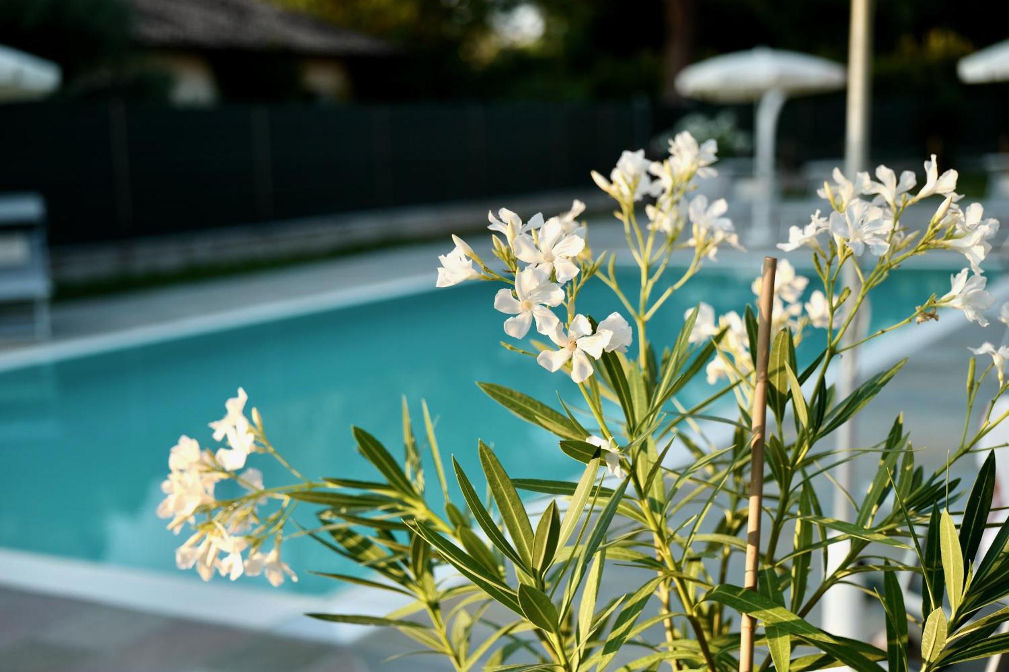 Caterina Residence ฟาเอนซา ภายนอก รูปภาพ