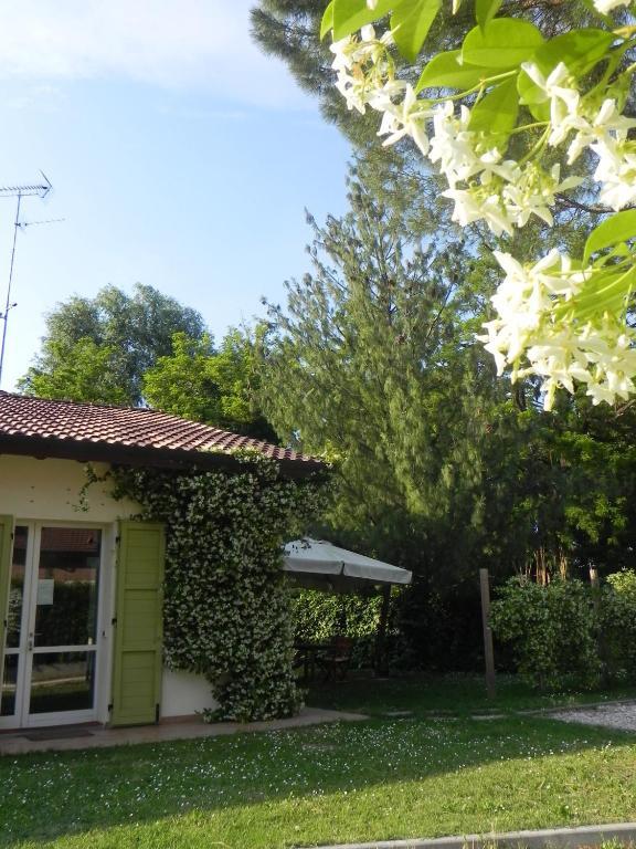 Caterina Residence ฟาเอนซา ภายนอก รูปภาพ