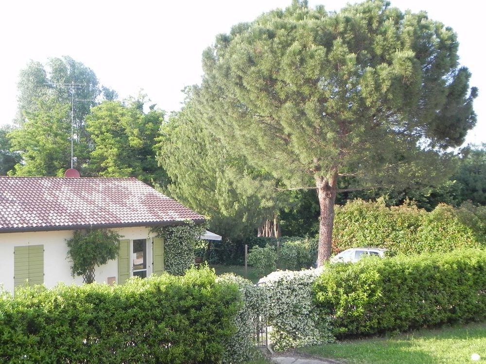 Caterina Residence ฟาเอนซา ภายนอก รูปภาพ